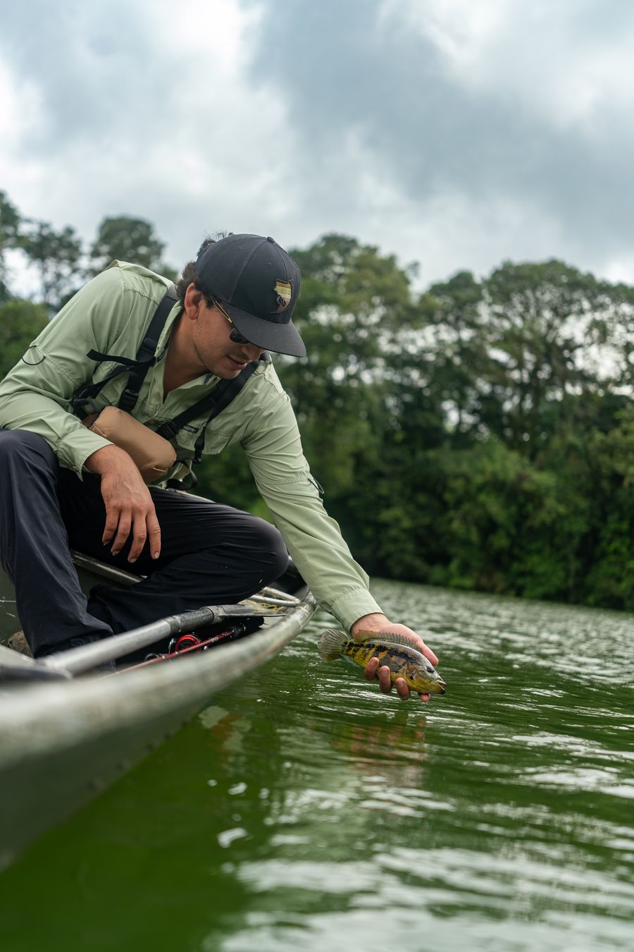 Guía devolviendo un guapote azul al agua en la Laguna Tabacón